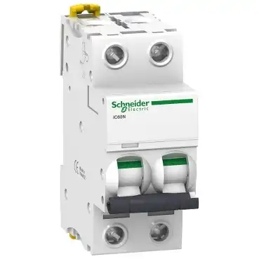 TERMICA 2 X 2A 10KA CURVA D