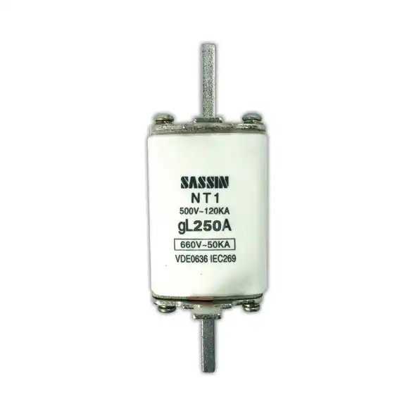 FUSIBLE NH01 250A