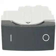 RODA INTERRUPTOR BIPOLAR GRIS