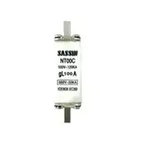 FUSIBLE NH000 100A